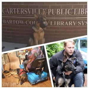 Service Dogs Service Dogs